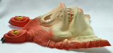 Vintage Star Wars Jar Jar Binks Halloween Mask Child Size Collectible Costume