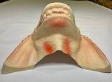 Vintage Star Wars Jar Jar Binks Adult Halloween Mask Costume Accessory Collectible