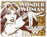 Wonder Woman Duo Tone Tin Metal Sign DC Comics Comic Book Justice League WW