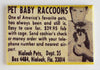 Pet baby raccoons comic book magazine ad FRIDGE MAGNET retro reproduction o10