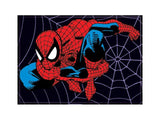 Marvel Comics The Amazing Spiderman FRIDGE MAGNET The Avengers K18