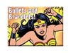 Bullets And Bracelets Wonder Woman FRIDGE MAGNET DC Comics Justice League F24