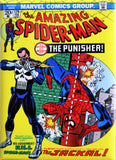 The Amazing Spiderman 129 FRIDGE MAGNET Punisher Marvel Comics Comic Book ATAM