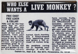 Live Monkey Comic Book AD FRIDGE MAGNET Vintage Style Toy