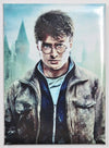 Harry Potter  FRIDGE MAGNET Deathly Hollows Wizard Muggle Fantastic Beast G19