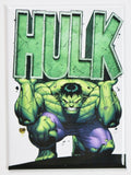 Incredible Hulk FRIDGE MAGNET Marvel Comics Bruce Banner Avengers Stan Lee M14