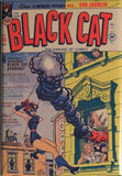 Black Cat Comic Book #26 Cover FRIDGE MAGNET Harvey Comics