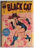 Black Cat Comic Book #6 Cover FRIDGE MAGNET Harvey Comics Shes a Hit