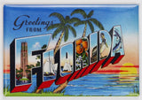Greetings From Florida Postcard FRIDGE MAGNET Miami Orlando Disney Jacksonville
