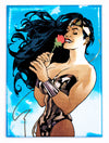 DC Comics Wonder Woman #178 FRIDGE MAGNET Justice League  Adam Hughes