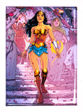DC Comics Wonder Woman Princess Diana of Themyscira FRIDGE MAGNET Justice League Bombshell