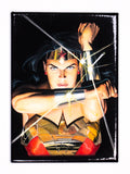DC Comics Wonder Woman Arms Crossed FRIDGE MAGNET Justice League Alex Ross