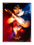 DC Comics Wonder Woman Arms Crossed FRIDGE MAGNET Justice League Superman Hero