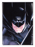 DC Comics Batman The Dark Night FRIDGE MAGNET Gotham City Alex Ross Joker Harley