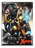 Marvel X-men Wolverine Beast Storm FRIDGE MAGNET Professor X Magneto X Men