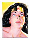 DC Comics Alex Ross Wonder Woman FRIDGE MAGNET Superman Batman The Flash Justice League