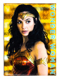 Wonder Woman 1984 FRIDGE MAGNET DC Comics Justice League Gal Gadot WW84