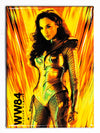 Wonder Woman 1984 Golden Armor WW84 FRIDGE MAGNET DC Comics Gal Gadot